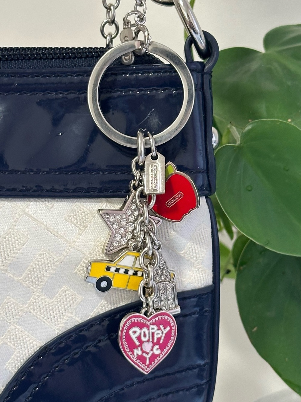 Coacg Bag Charm